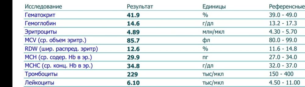IMG_20200814_104605.thumb.jpg.98569a786e4b72df944f0d3161bf168a.jpg